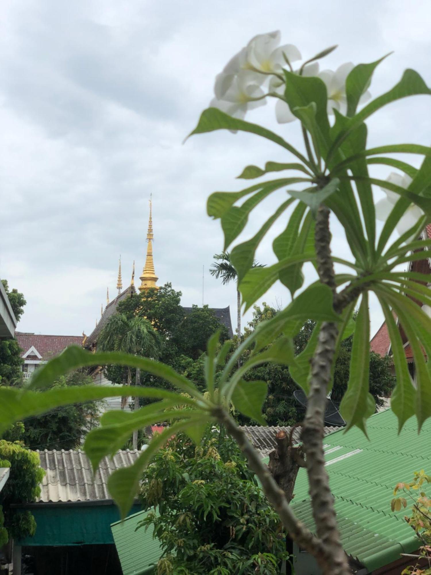 Thongran'S House Hotel Chiang Mai Exterior foto